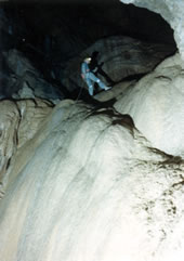 Rappelling in Organ Cave